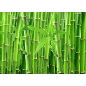 Green Bamboo Stick Backdrop Party Photography Background