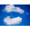 Blue Sky Two Flowers White Cloud Backdrop Photo Booth Photography Background Decoration Prop
